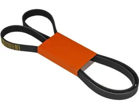 Continental Belt 6K X 1856 078-903-137 BL