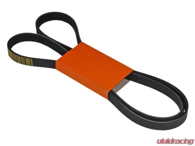 Continental Belt 6K X 1856 078-903-137 BL - 078-903-137 BL