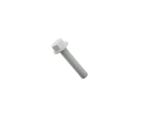 Genuine Audi | VW Crankshaft Pulley Bolt WHT-009-475