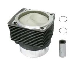 Mahle Piston and Cylinder 99 0174 915