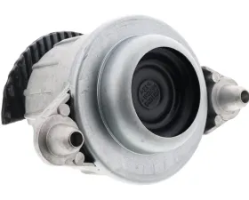 OEM Engine Mount 218-240-08-17