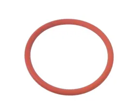 Victor Reinz O-Ring 999-701-477-40