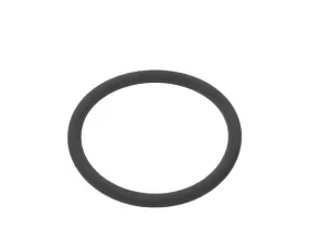 Victor Reinz O-Ring 999-707-348-40