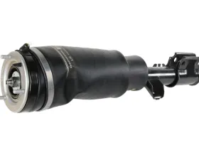 BWI Shock Absorber LR032567