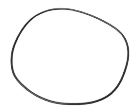 ZF O-Ring 24-31-1-422-806