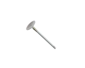 TRW Automotive Intake Valve 06E-109-601 E