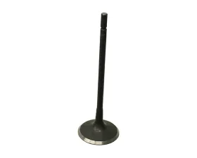 Eurospare Intake Valve AJ810945