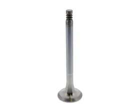 TRW Automotive Exhaust Valve 022-109-612 D