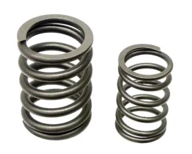 German Valve Spring Set 993-105-901-51