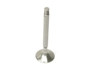 TRW Automotive Intake Valve 616-105-402-00