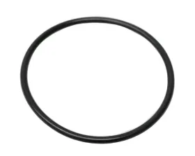 Victor Reinz O-Ring 11-31-1-317-732