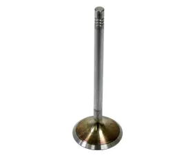 TRW Automotive Intake Valve 12-786-696