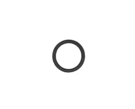 Victor Reinz O-Ring 11-42-1-702-905