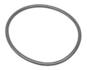Victor Reinz O-Ring 999-701-100-50