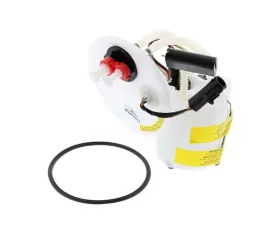 Delphi Fuel Pump Assembly XR822164