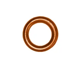 Fischer & Plath Seal Ring 915035-000016