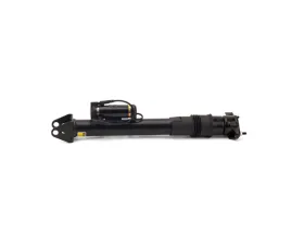 Arnott Industries Shock Absorber 164-320-31-31