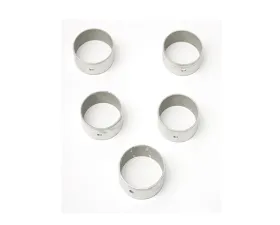 Eurospare Camshaft Bearing Set STC1961