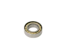 OEM Main Shaft Bearing 930-302-391-01