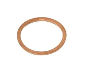 Victor Reinz Gasket Ring 07-11-9-963-342