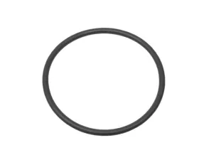 Victor Reinz O-Ring 999-701-124-40