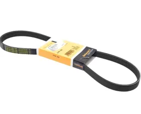 Continental Belt 5PK X 925 07K-145-933 C