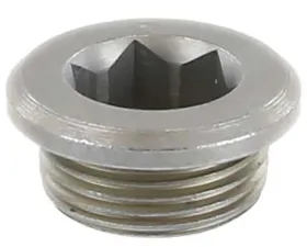 Rein Automotive Differential Drain Plug 33-11-7-525-064