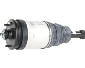BWI Shock Absorber RPD000309