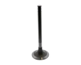 TRW Automotive Intake Valve 021-109-601