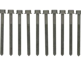 Victor Reinz Cylinder Head Bolt Set WHT-005-305 B