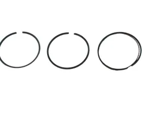Goetze Piston Ring Set 002-030-40-24