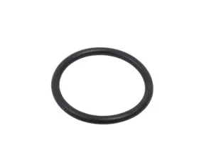 Victor Reinz Water Hose O-Ring 11-53-7-545-278