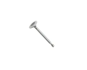 German Intake Valve PCG-546-052-03