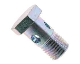 Bosch Banjo Bolt 901-110-917-01