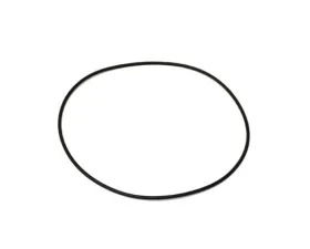OEM O-Ring 999-701-745-40