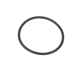 ZF O-Ring 943-307-041-00