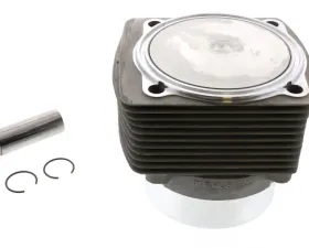 Mahle Piston and Cylinder 930-103-958-01