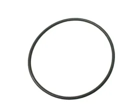 Victor Reinz Oil Filter O-Ring 11-42-1-252-222