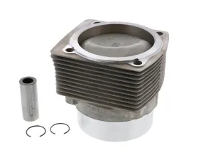 Mahle Piston and Cylinder 930-103-990-01