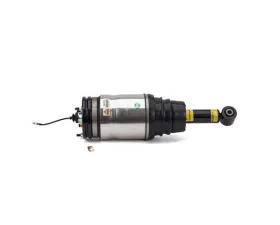 Arnott Industries Shock Absorber AS-2762