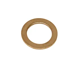 Fischer & Plath Seal Ring 007603-010112
