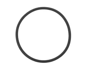 Victor Reinz O-Ring 12-11-1-252-257
