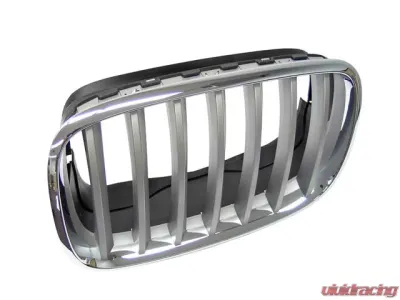 Genuine BMW Grille 51-13-7-185-223 - 51-13-7-185-223