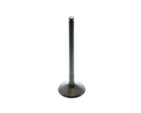 TRW Automotive Intake Valve 111-053-24-01