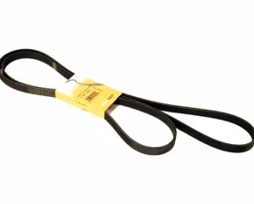 Continental Belt 6K X 2680 077-903-137 Q