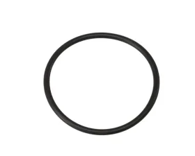 Victor Reinz Coolant Flange Seal 037-121-688