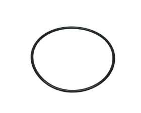 Victor Reinz Actuator O-Ring 07-11-9-903-596