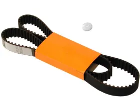 Continental Timing Belt 9135553