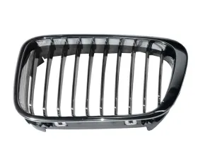 Genuine BMW Grille 51-13-8-208-489