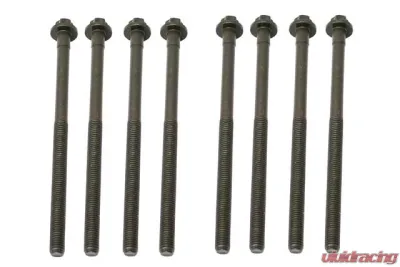 Elring Klinger Cylinder Head Bolt Set 003-990-25-22 - 003-990-25-22